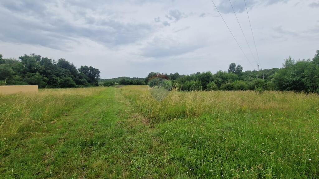 Image 5911728 - 2