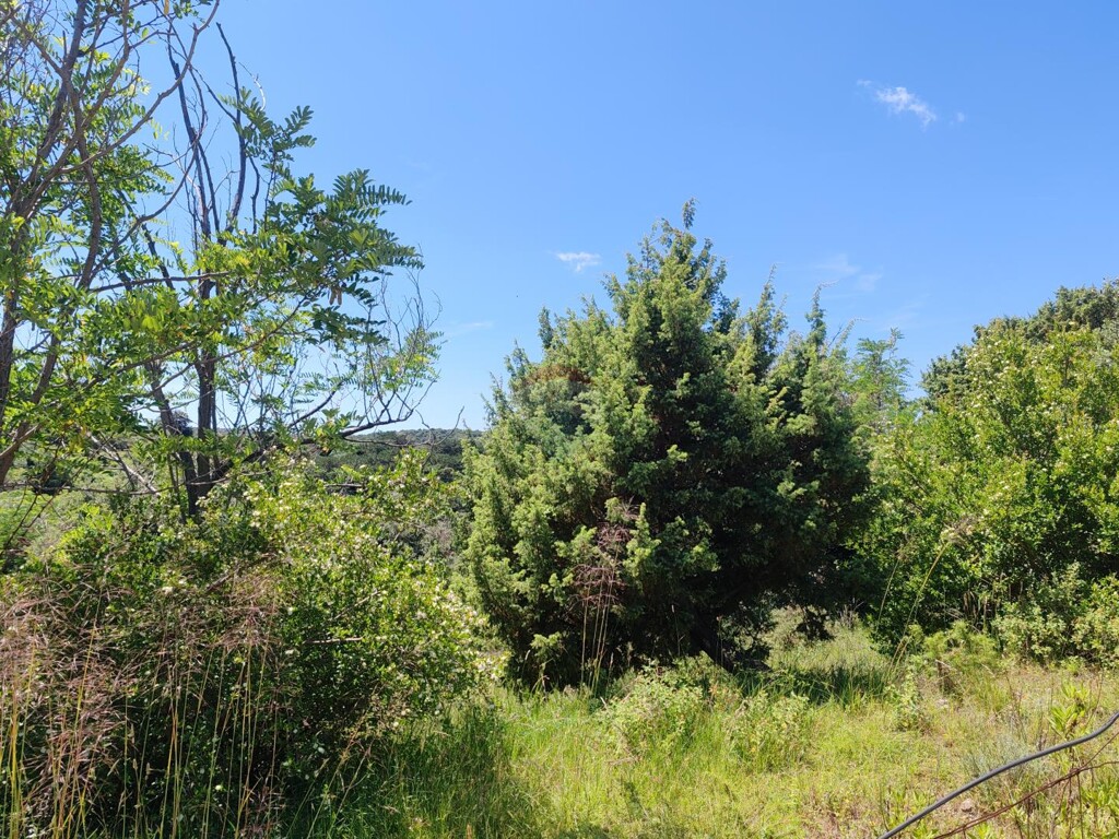 Image 5911741 - 1