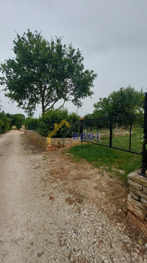 Image 5913724 - 4