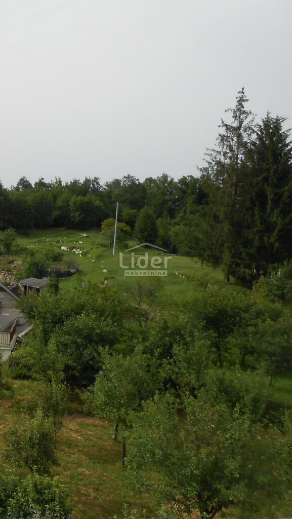 Image 5913798 - 2