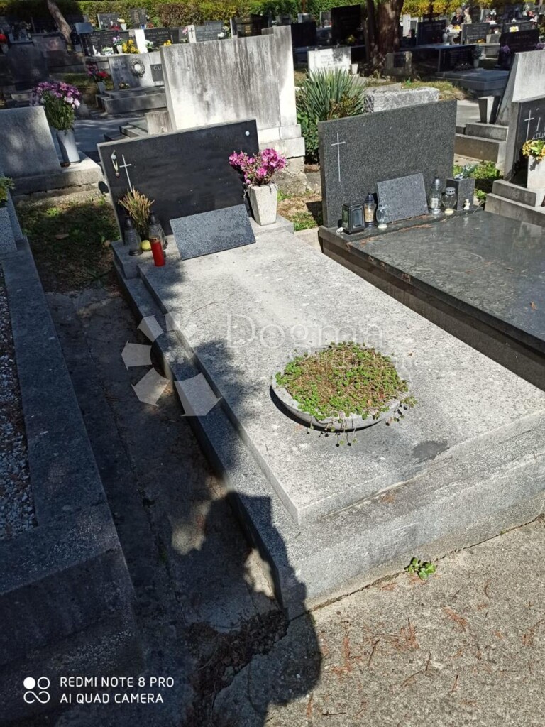 Image 5913883 - 1