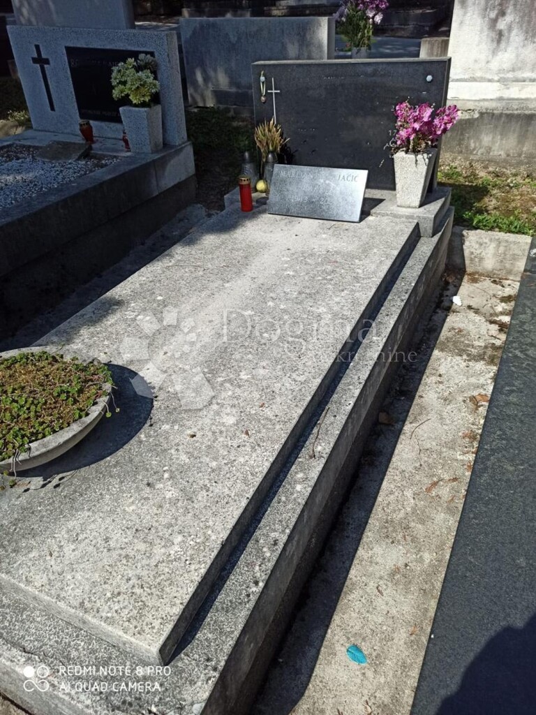 Image 5913883 - 2
