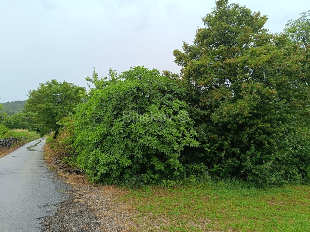 Image 5913997 - 1