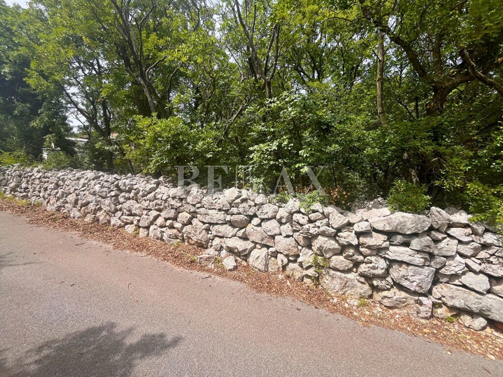 Image 5914117 - 4