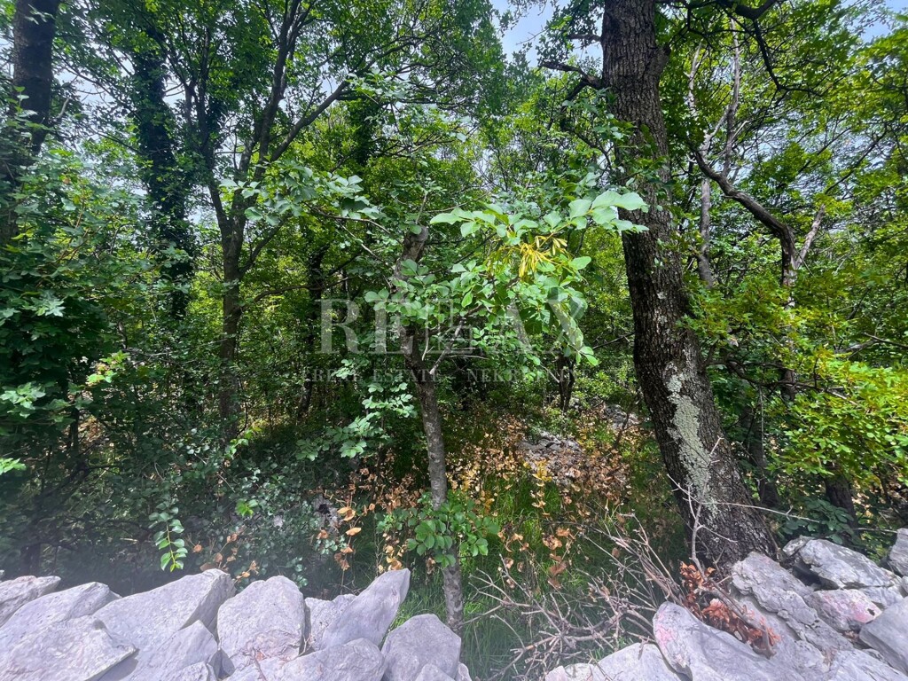 Image 5914117 - 3