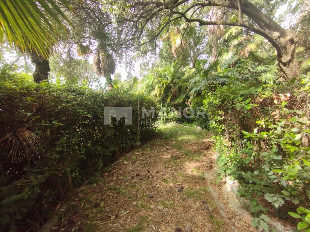 Image 5914559 - 24