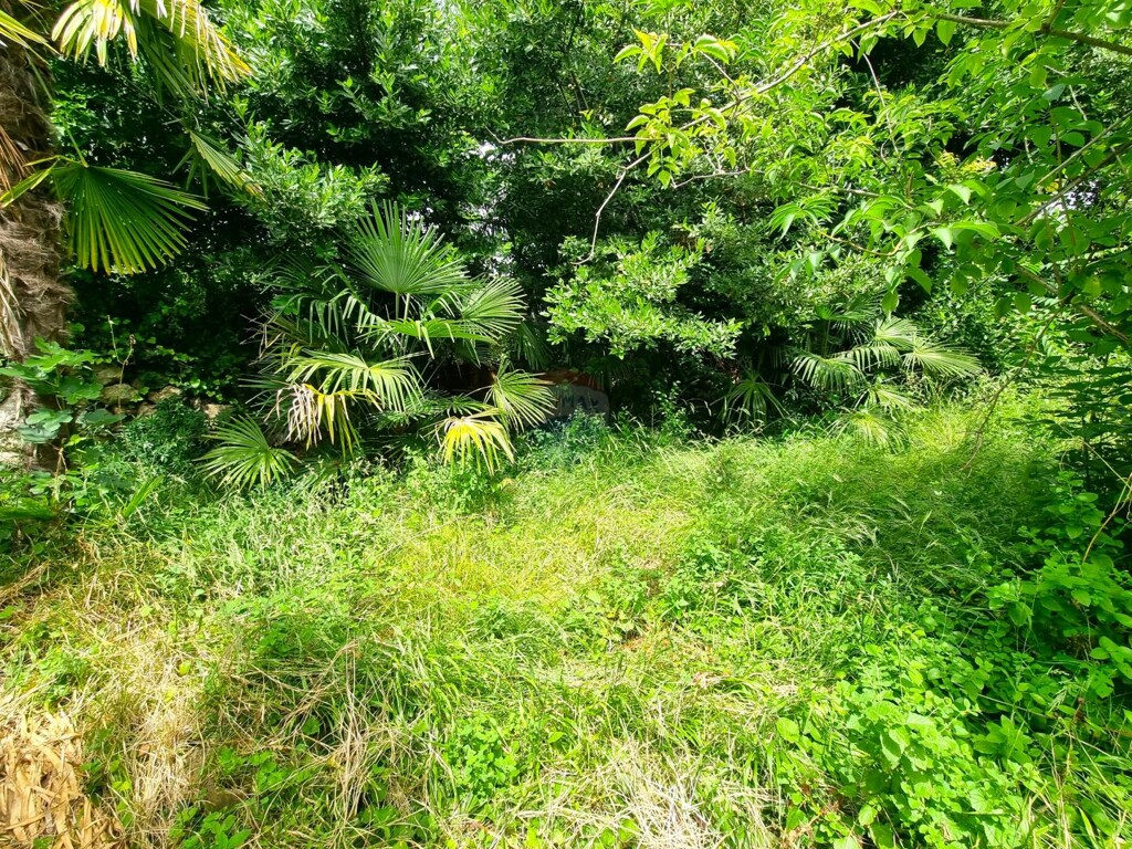 Image 5914622 - 20