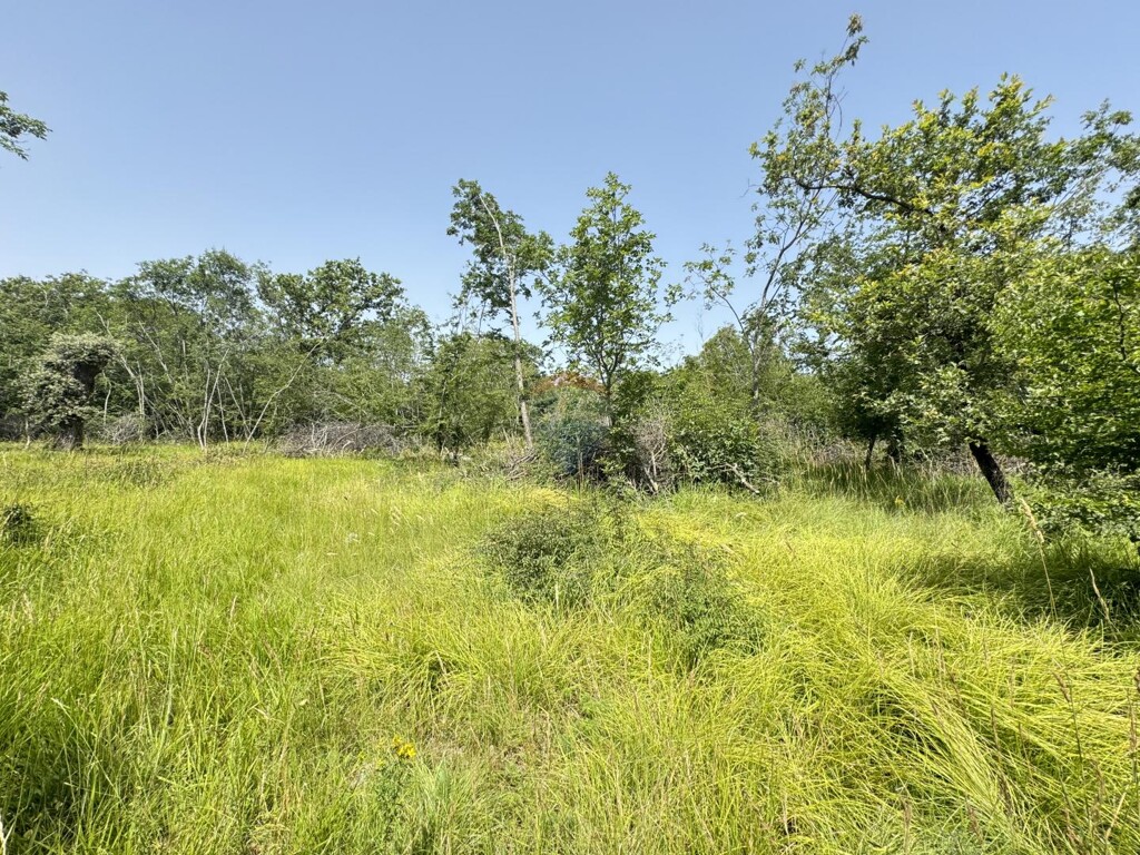 Image 5914624 - 1