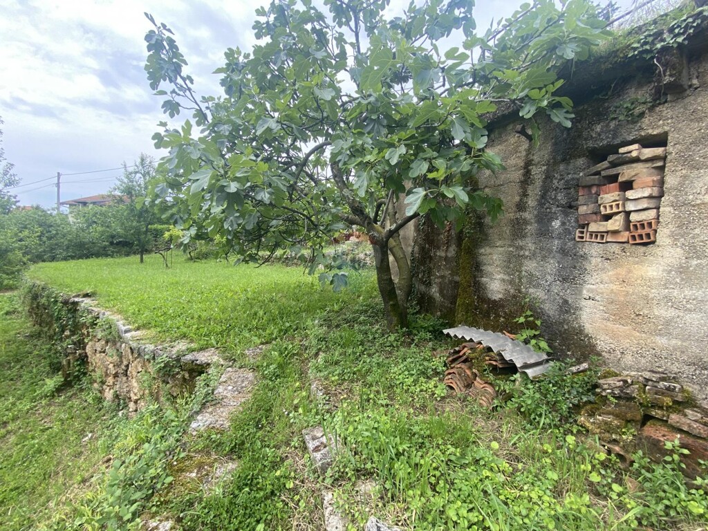 Image 5914626 - 5