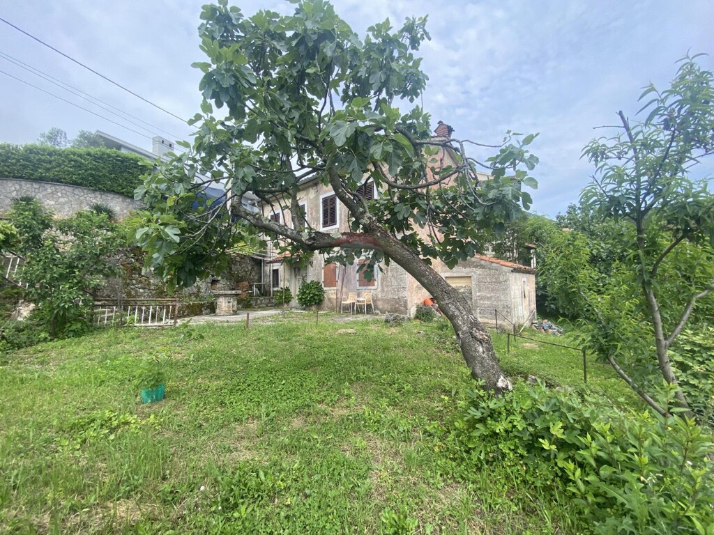 Image 5914626 - 6