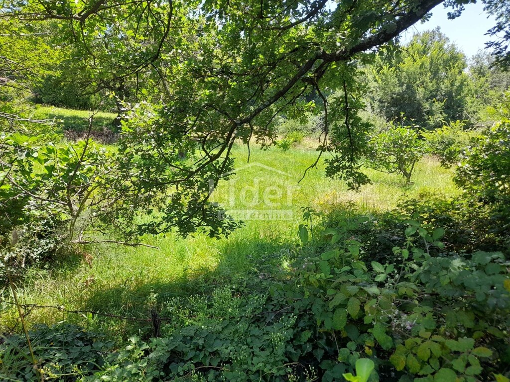 Image 5916816 - 2
