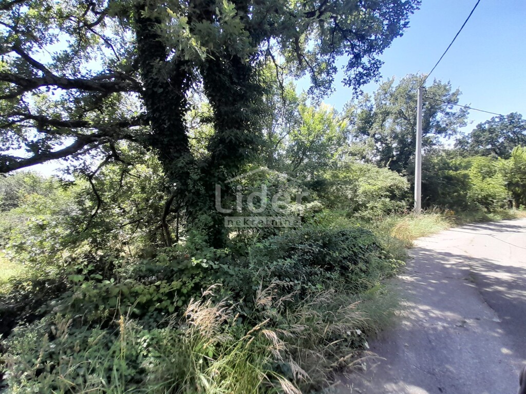 Image 5916816 - 3