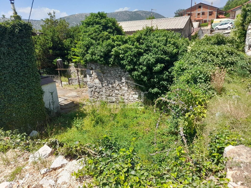 Image 5916818 - 3