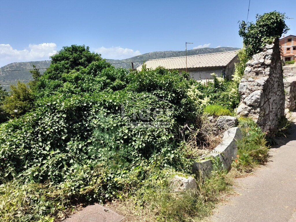 Image 5916818 - 2