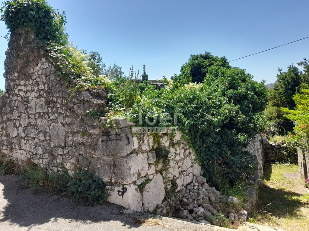 Image 5916818 - 1
