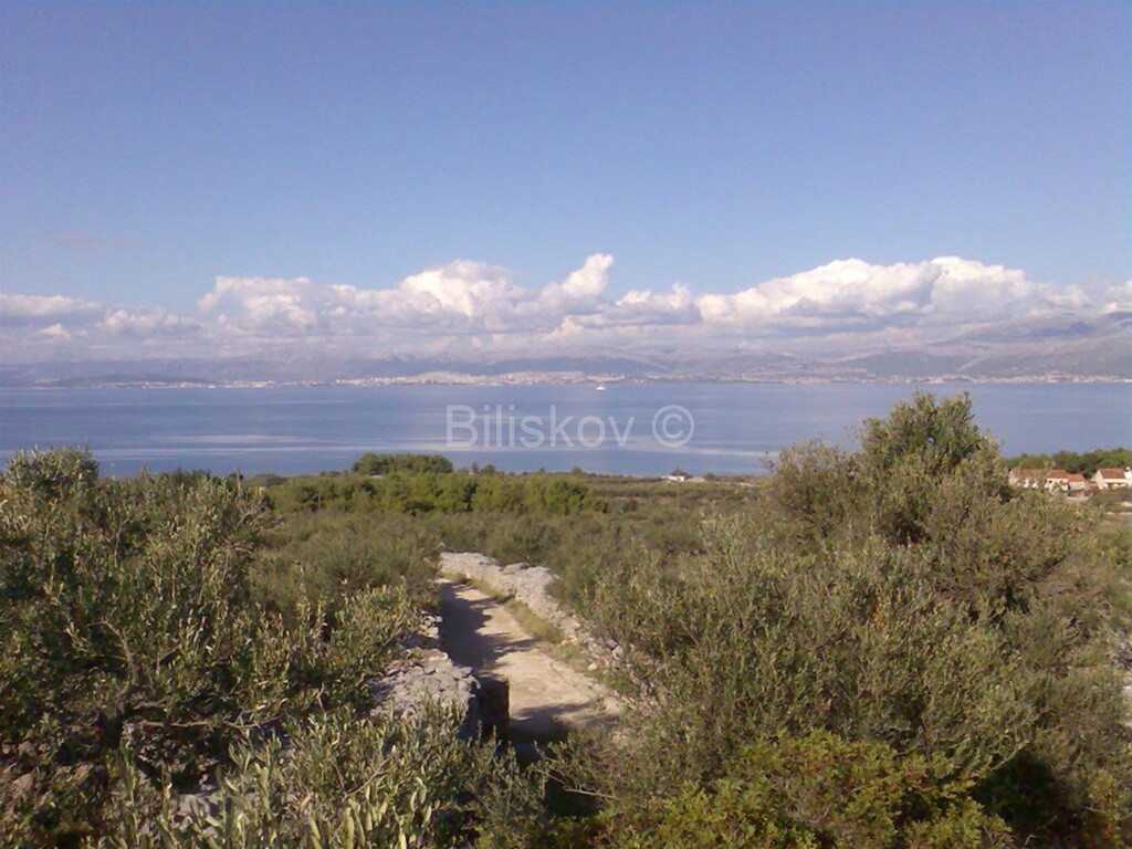Image 5916887 - 1