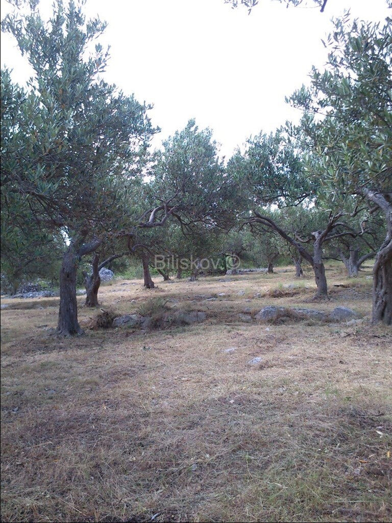 Image 5916887 - 7