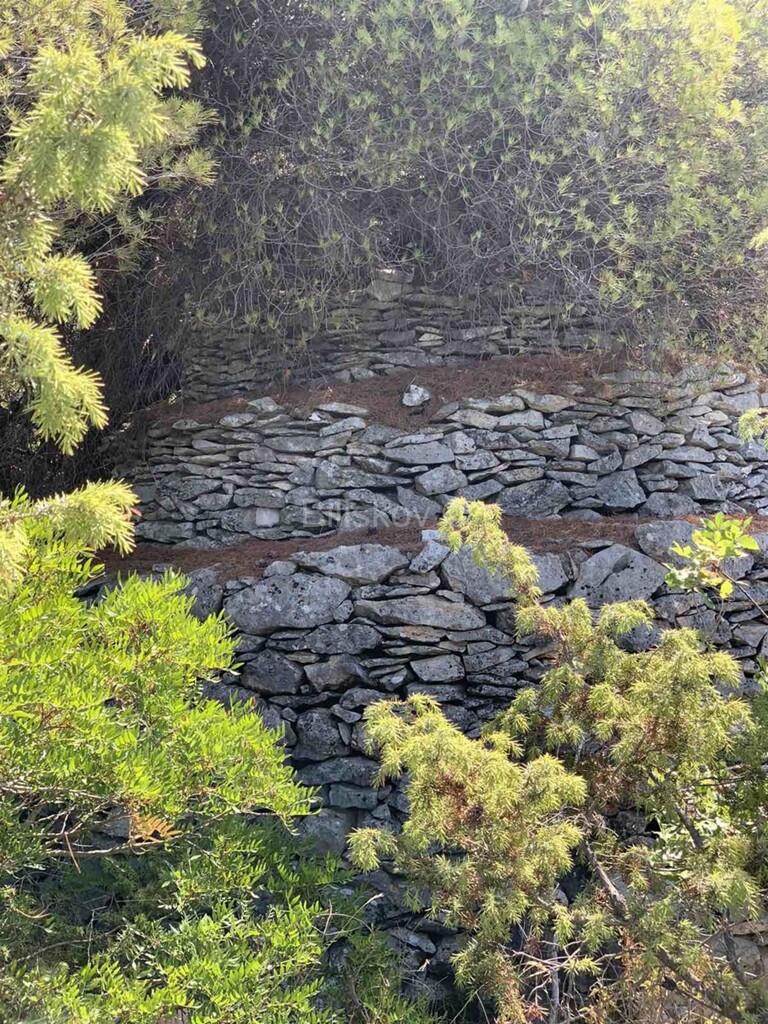 Image 5916887 - 3