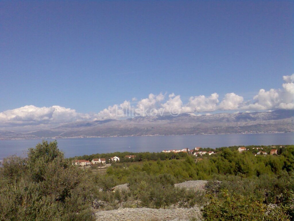 Image 5916887 - 5