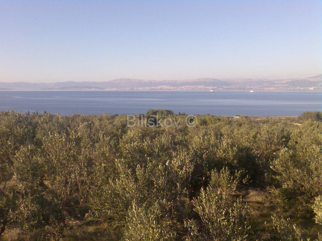Image 5916887 - 6