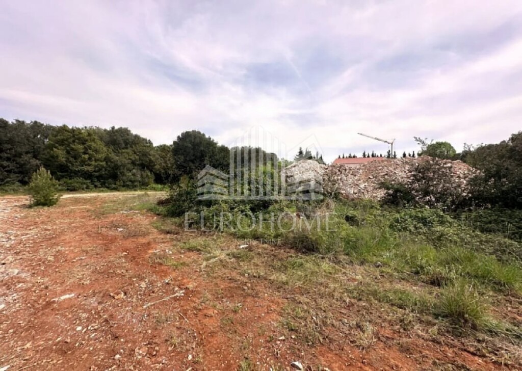 Image 5918424 - 4
