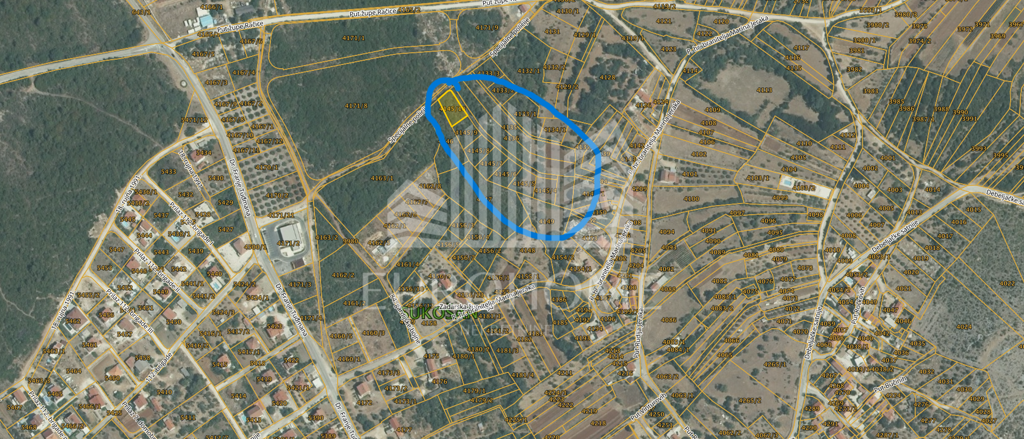 Image 5918435 - 1