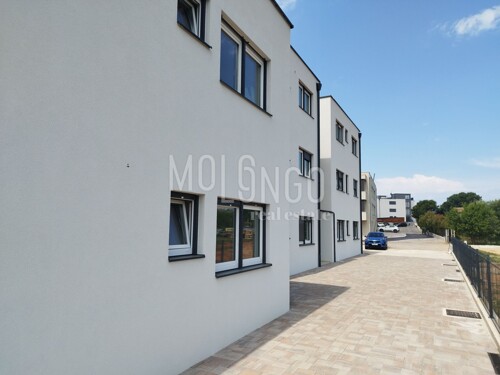 Thumbnail 5918469 - 3