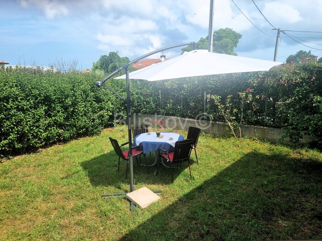 Image 5918479 - 4