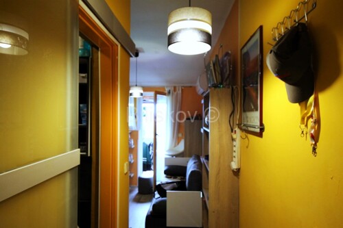 Thumbnail 5918481 - 4