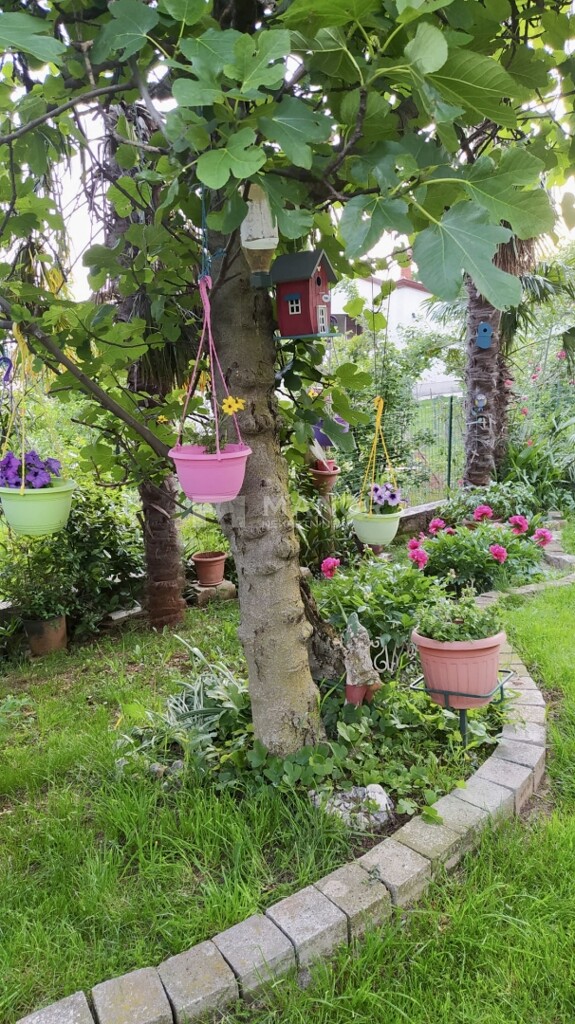 Image 5918627 - 6
