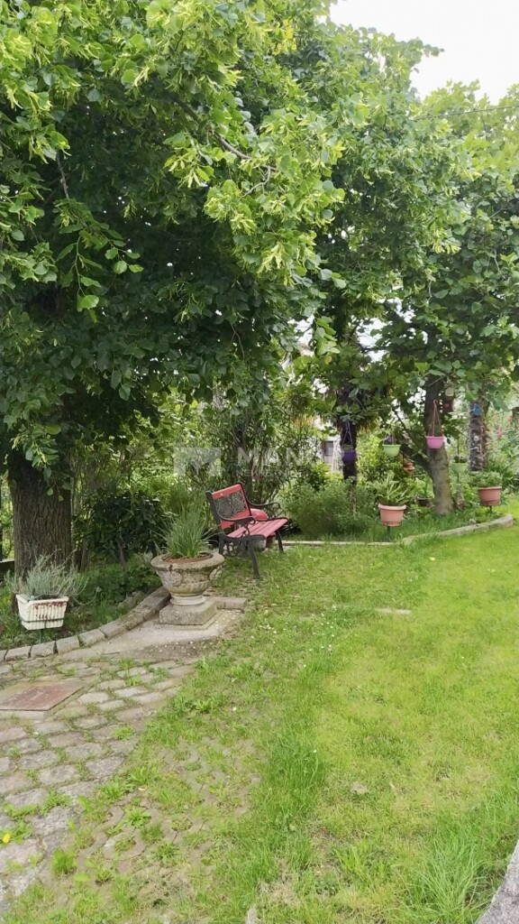 Image 5918627 - 7