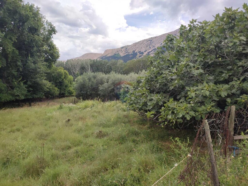 Image 5918644 - 5