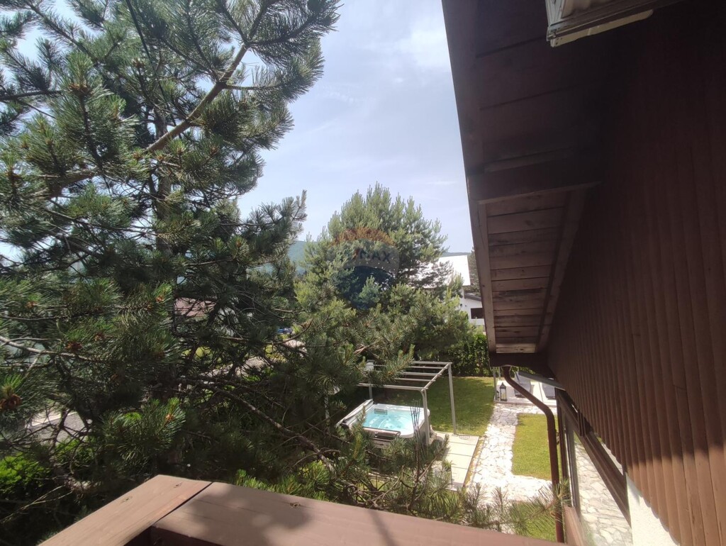Image 5918656 - 4