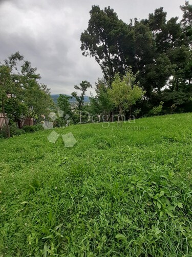 Thumbnail 5919213 - 6