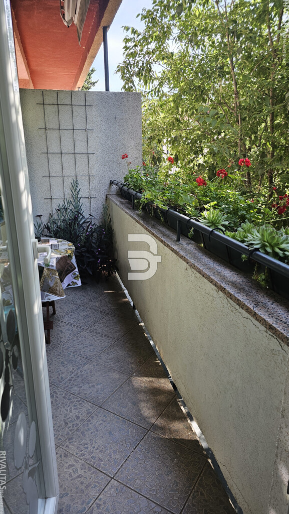 Image 5919224 - 3