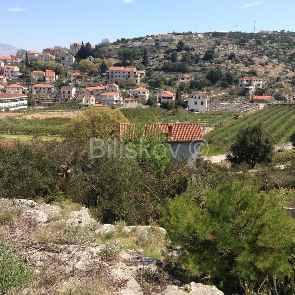 Image 5919284 - 3