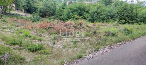 Thumbnail 5920052 - 3