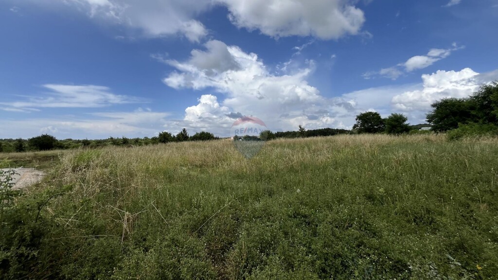 Image 5920321 - 12