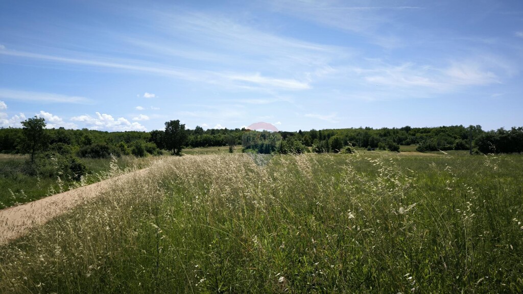 Image 5920327 - 2