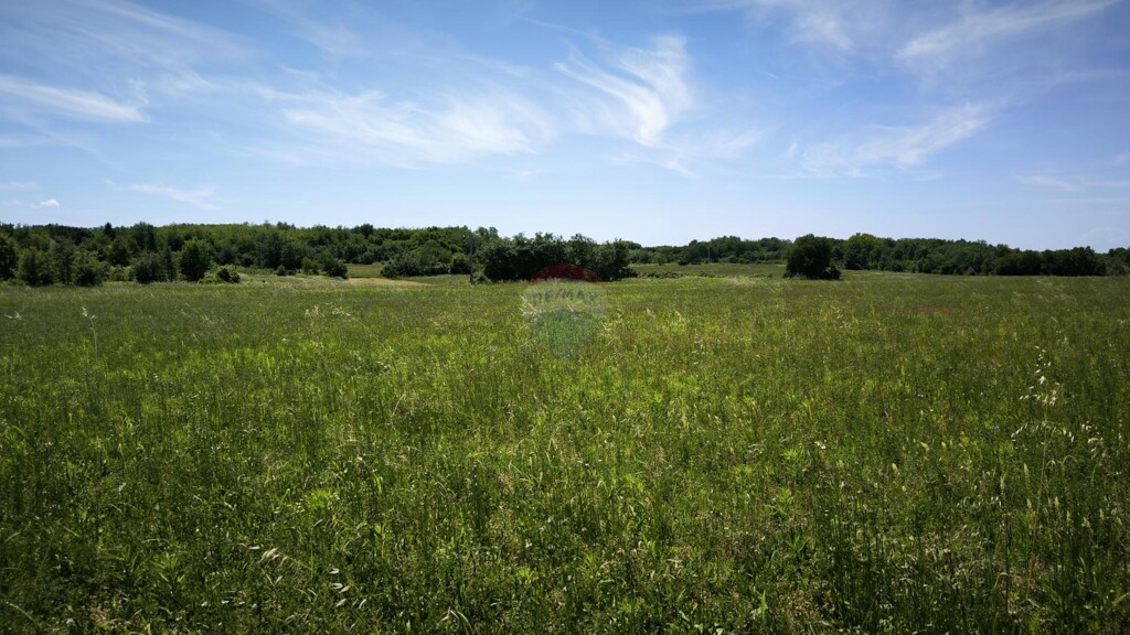Image 5920327 - 1