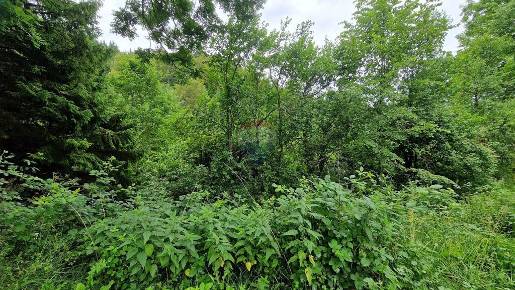 Image 5921300 - 9