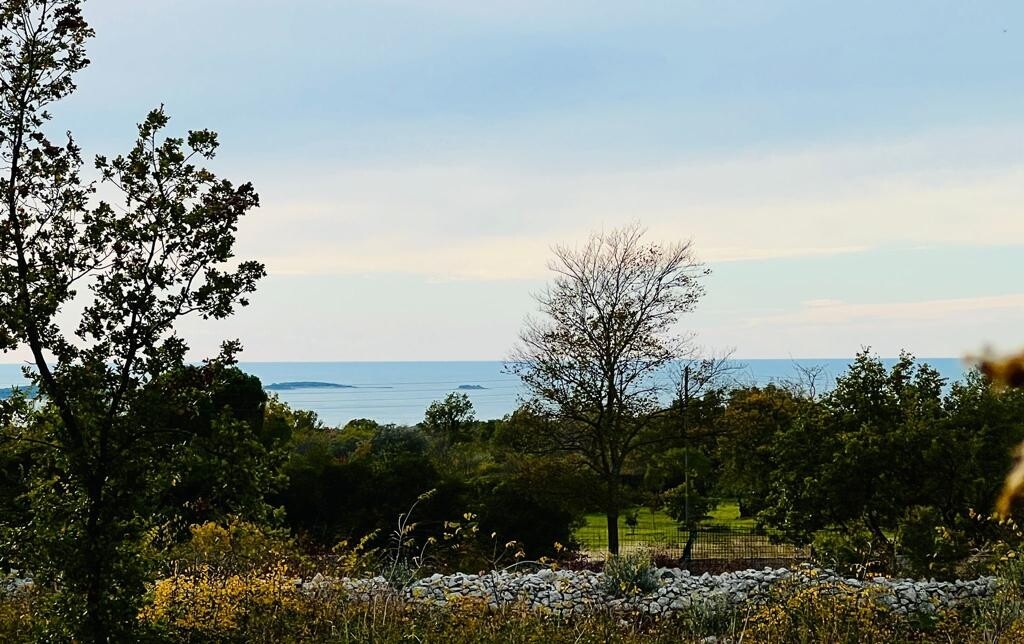 Image 5922017 - 1