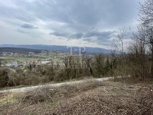 Thumbnail 5923190 - 2