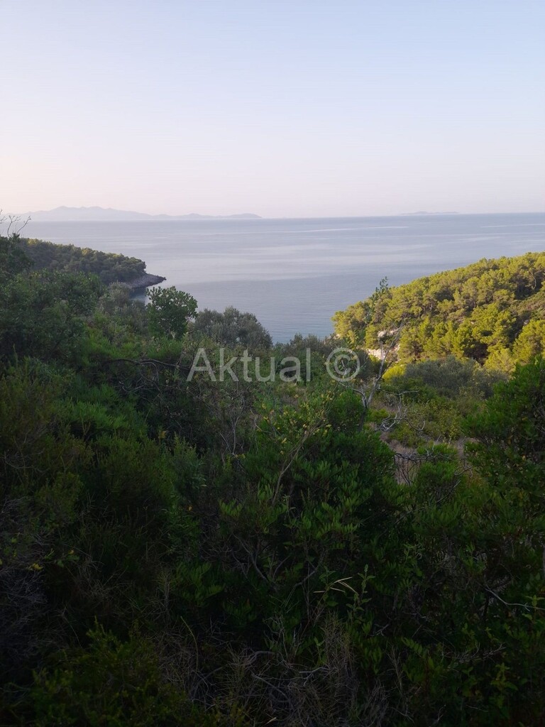 Image 5923227 - 9