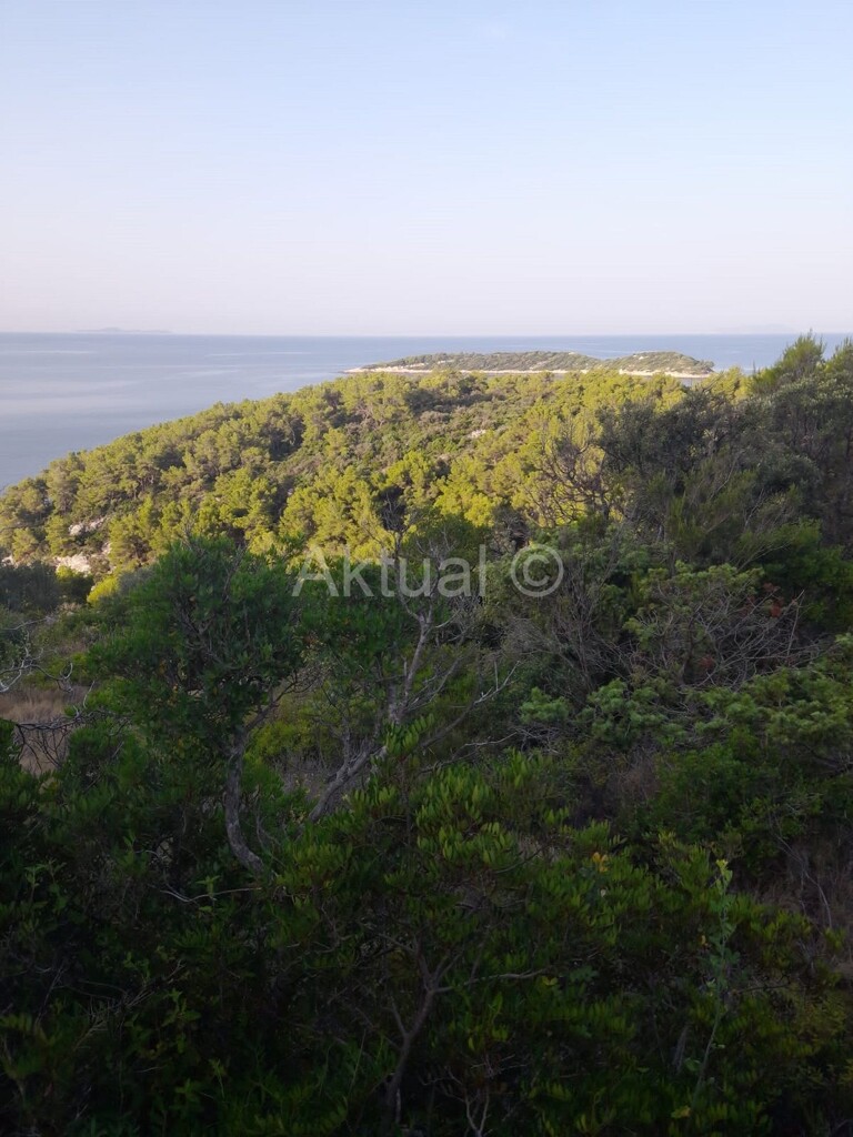 Image 5923227 - 10