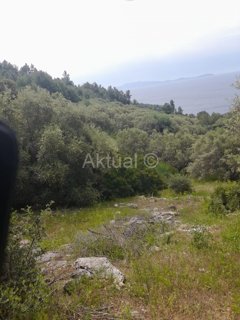 Image 5923227 - 3