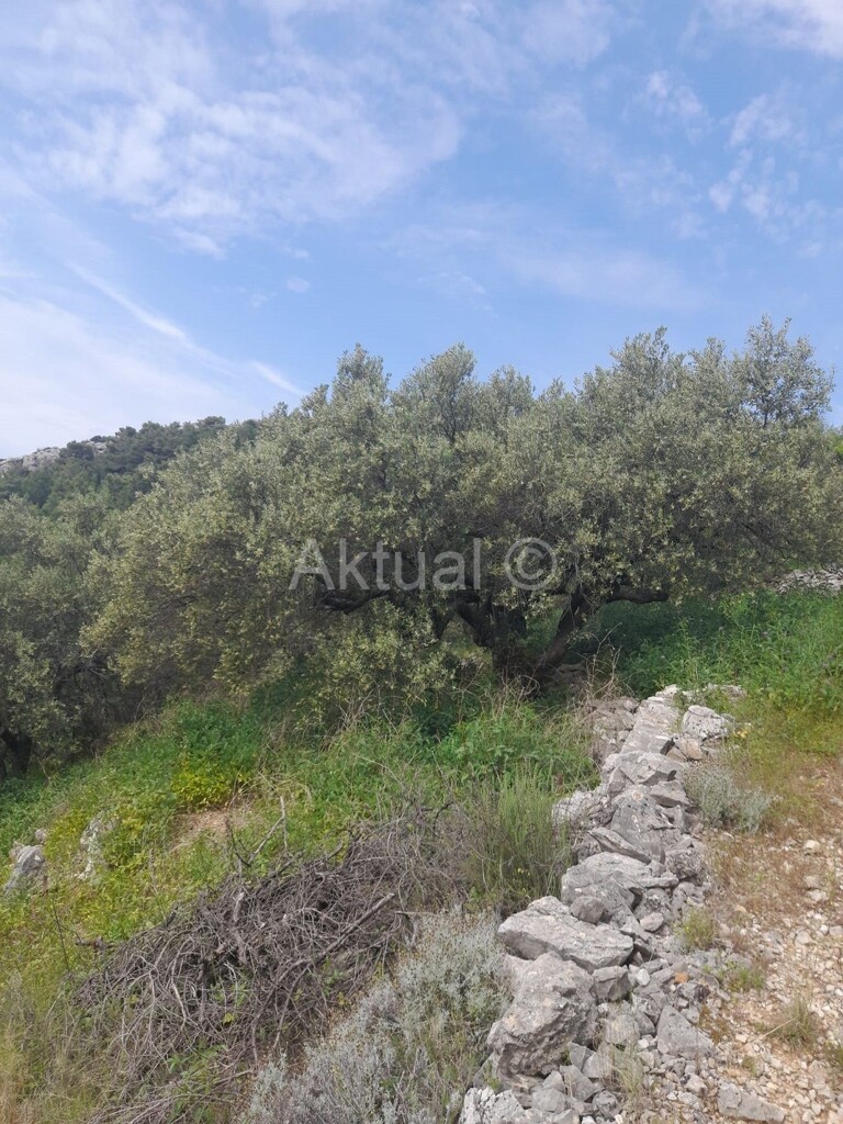 Image 5923227 - 5