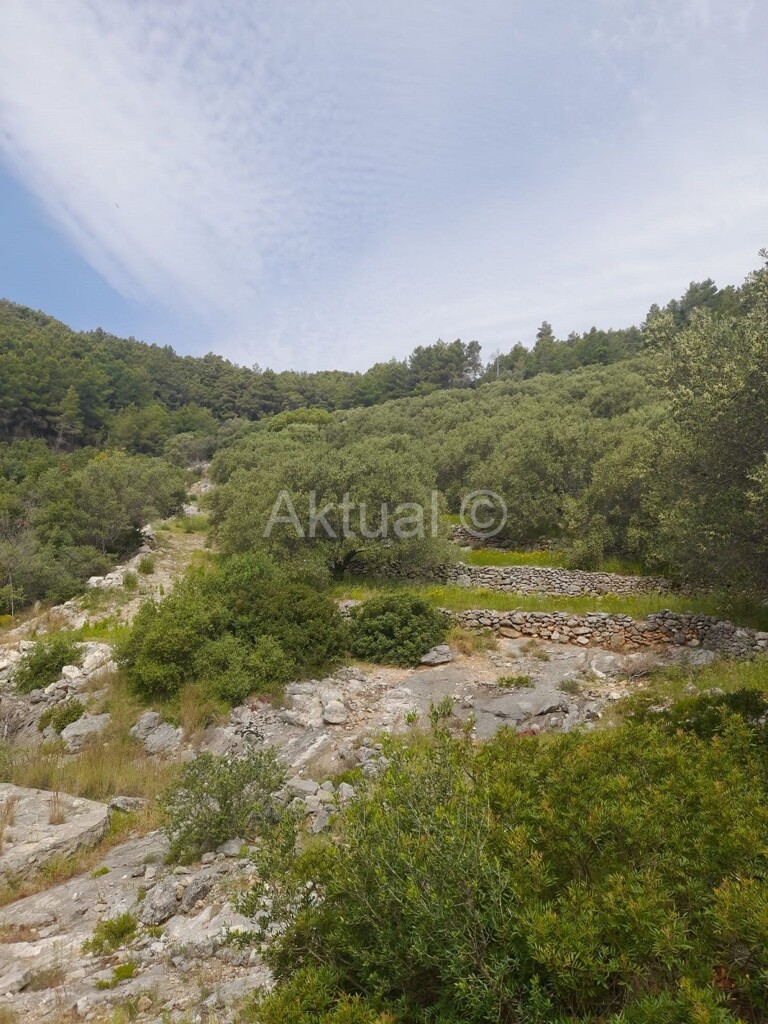 Image 5923227 - 2
