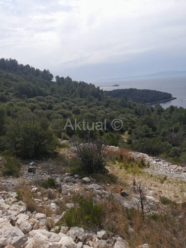 POLJOPRIVREDNO ZEMLJIŠTE, 80.567m2, ZA OPG, OTOK KORČULA, UVALA DUBOKA