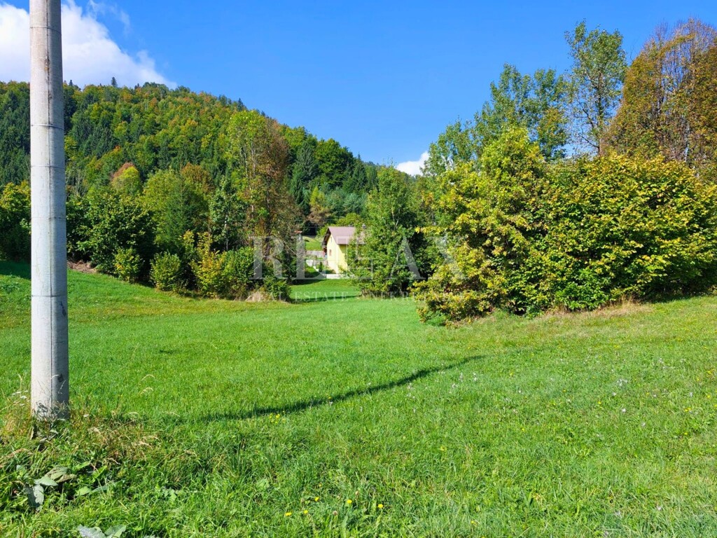 Image 5923294 - 3
